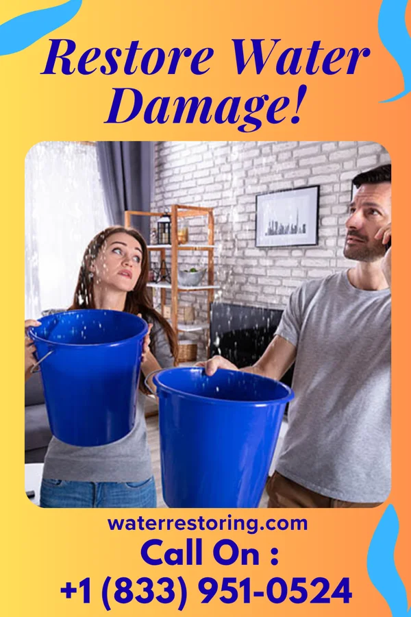 water restoration Master Water Restoration & Associates Newark