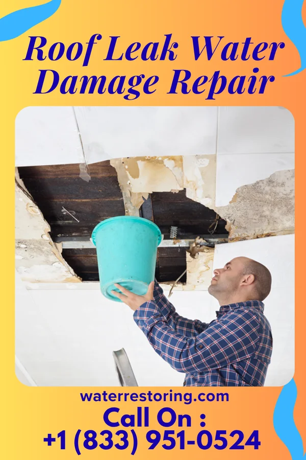 Roof Leak Water Damage Repair in Newark, MO