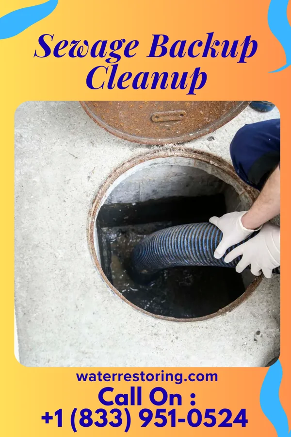 Sewage Backup Cleanup in Newark, MO