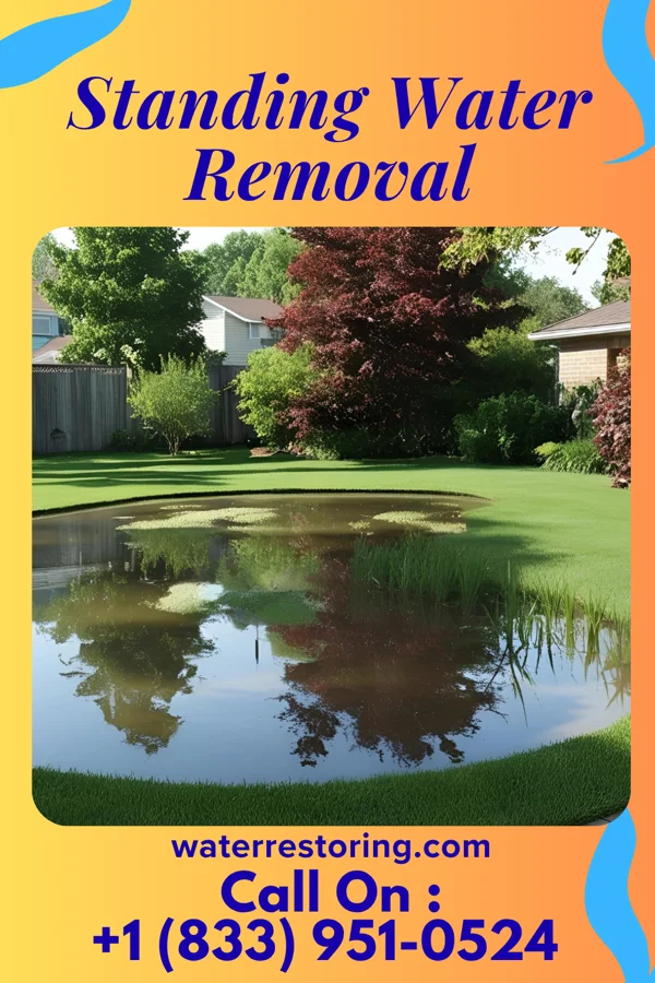 Standing Water Removal in Newark, MO